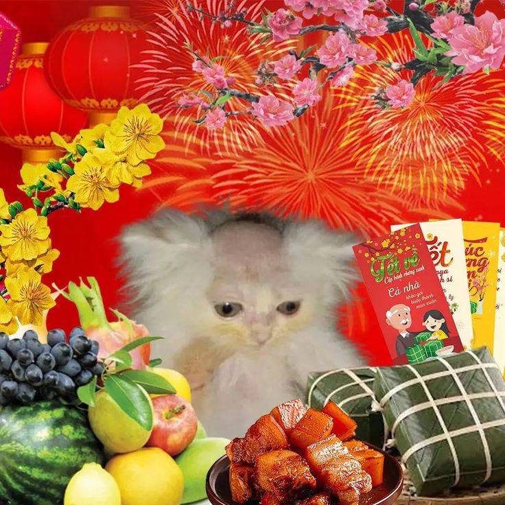 Meme Tết vui nhộn góp phần làm phong phú bầu không khí Tết