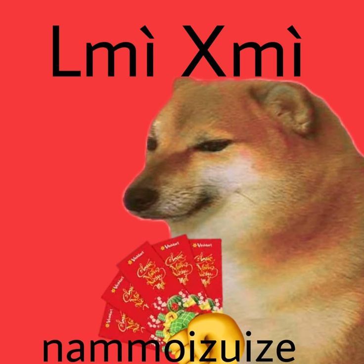 Meme Tết độc đáo là lựa chọn tuyệt vời để chào đón năm mới