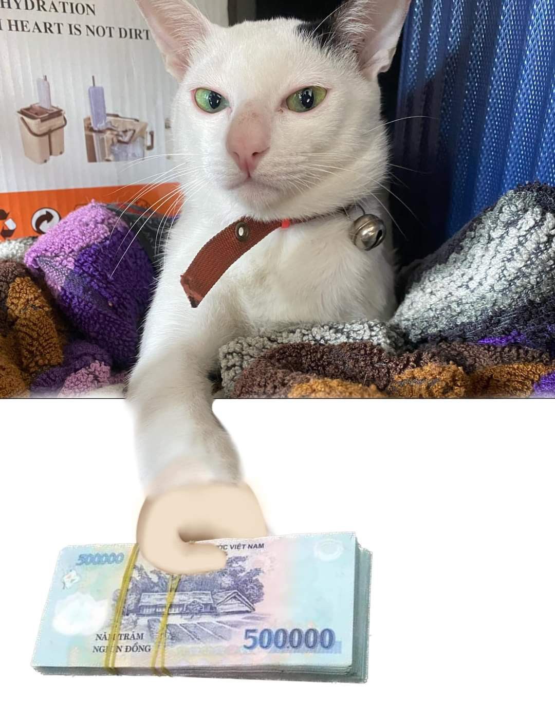 Meme Tết vui nhộn khiến mọi người nhớ mãi những ngày đầu xuân