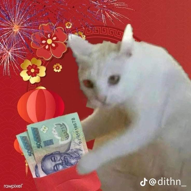 Những tấm meme Tết mang không khí tươi mới đến khắp mọi nơi