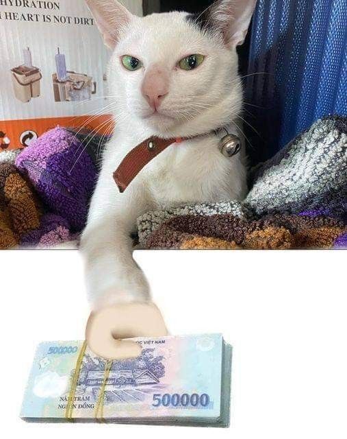 Sự hài hước từ meme Tết khiến Tết cổ truyền thêm phần sôi động