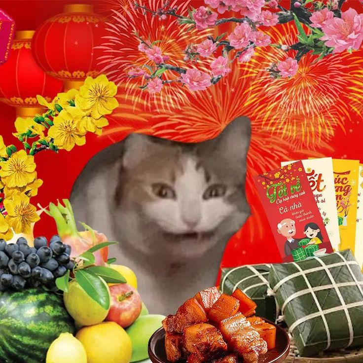 Ảnh meme Tết hóm hỉnh tạo nên bầu không khí náo nhiệt xuân mới