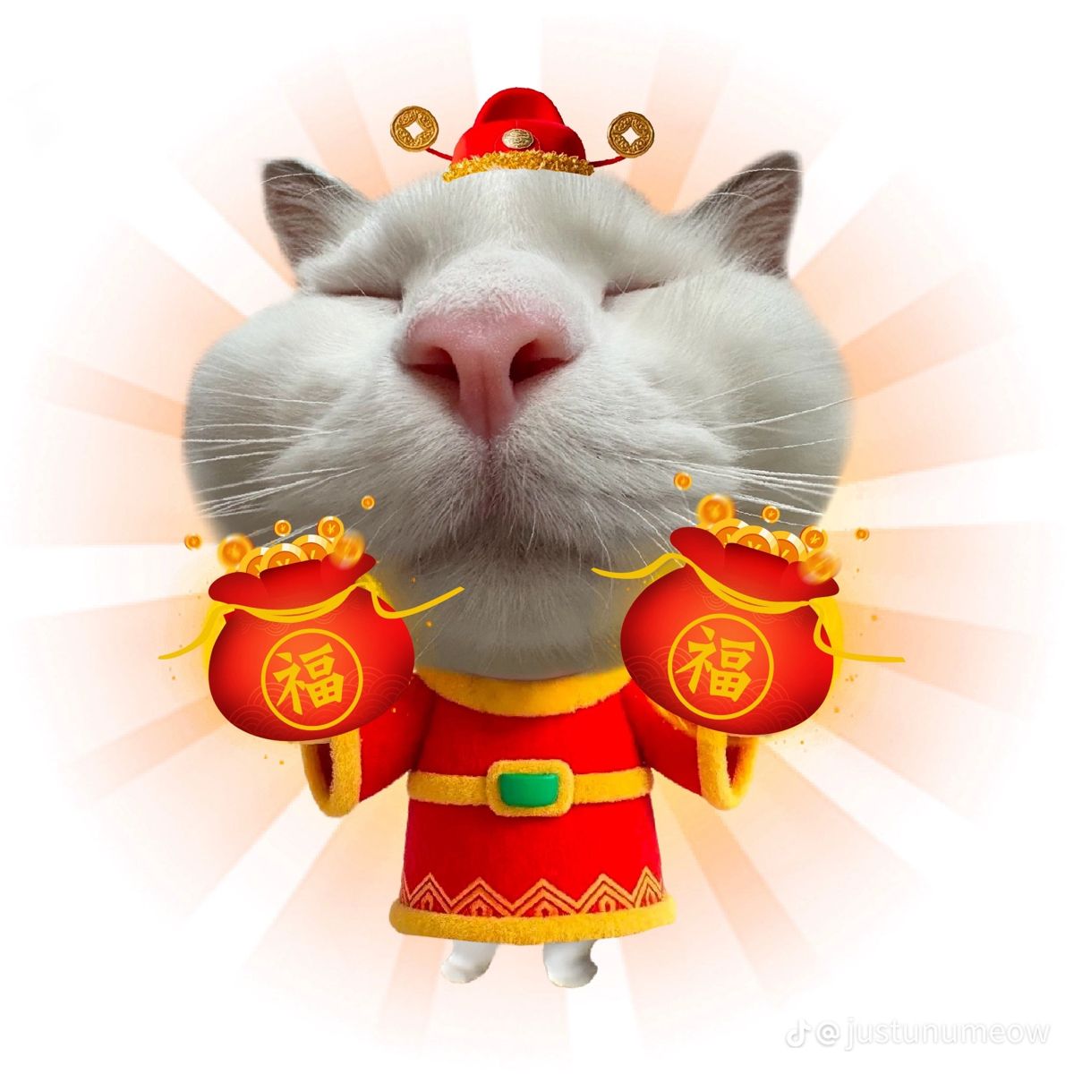 Meme Tết sáng tạo là điểm nhấn thú vị trong mùa xuân mới