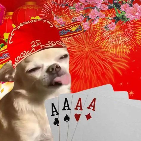 Ảnh meme Tết thú vị luôn được nhiều người yêu thích và chia sẻ