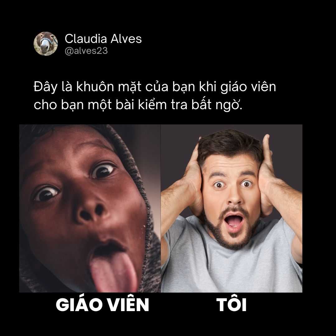 Meme khóc không thành tiếng