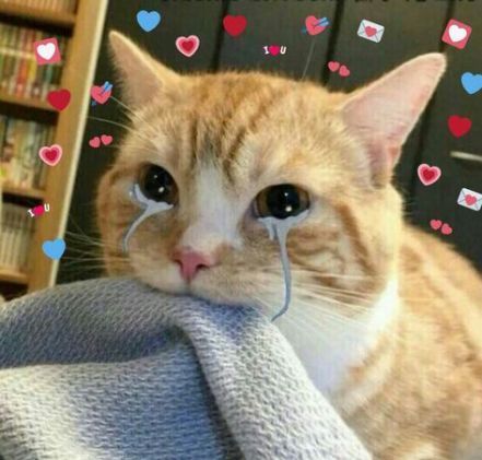 Mỗi giọt nước mắt là một câu chuyện chưa kể