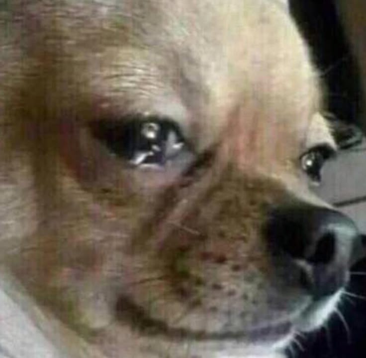 Có khi chỉ một ánh mắt cũng khiến tôi bật khóc