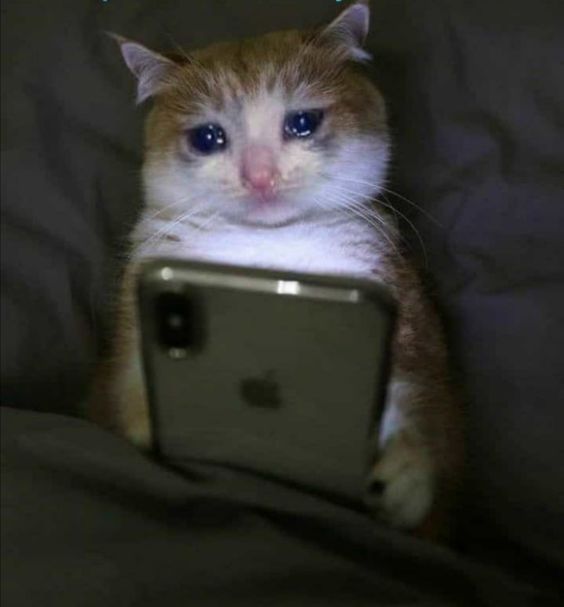 Tôi khóc cho những điều đã không thể