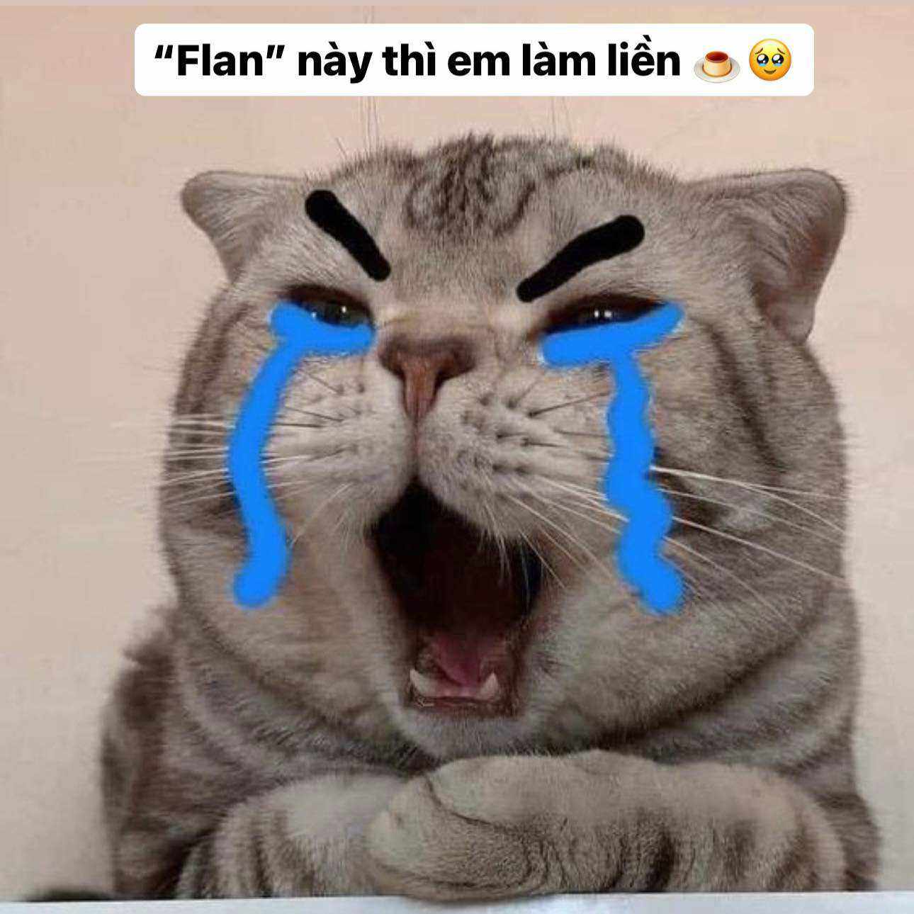 Không ai thấy tôi khóc, và đó là điều đau nhất