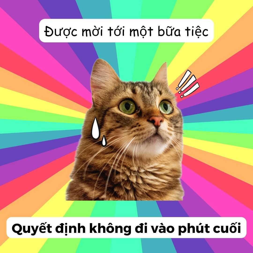 Meme nằm khóc