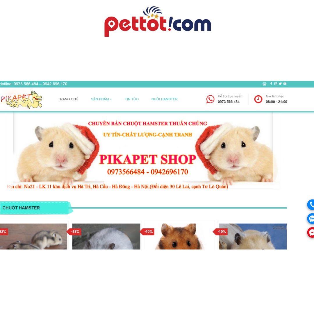Pikapet Hamster shop - địa chỉ bán chuột hamster uy tín