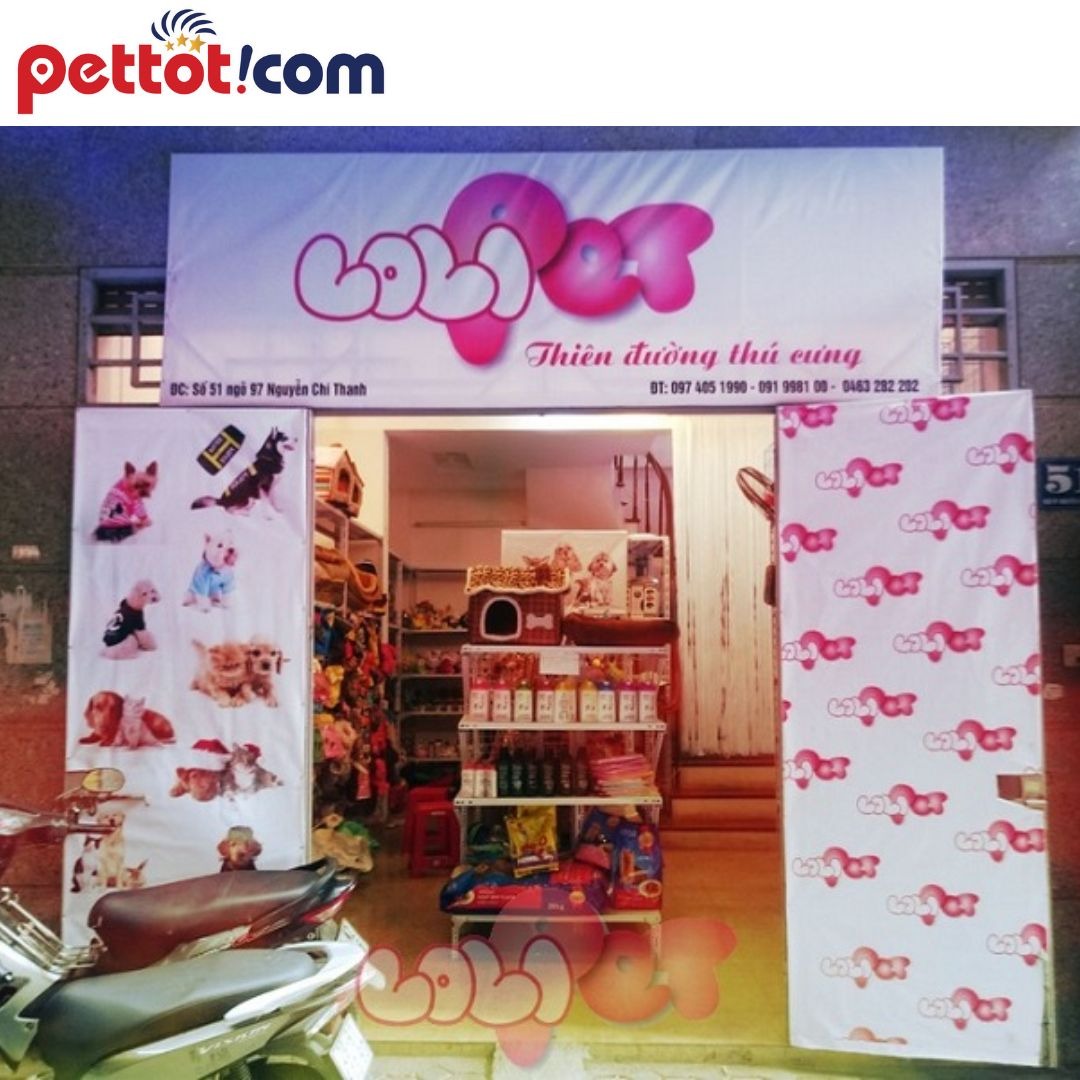 Lolipet Shop - địa chỉ bán chuột hamster uy tín