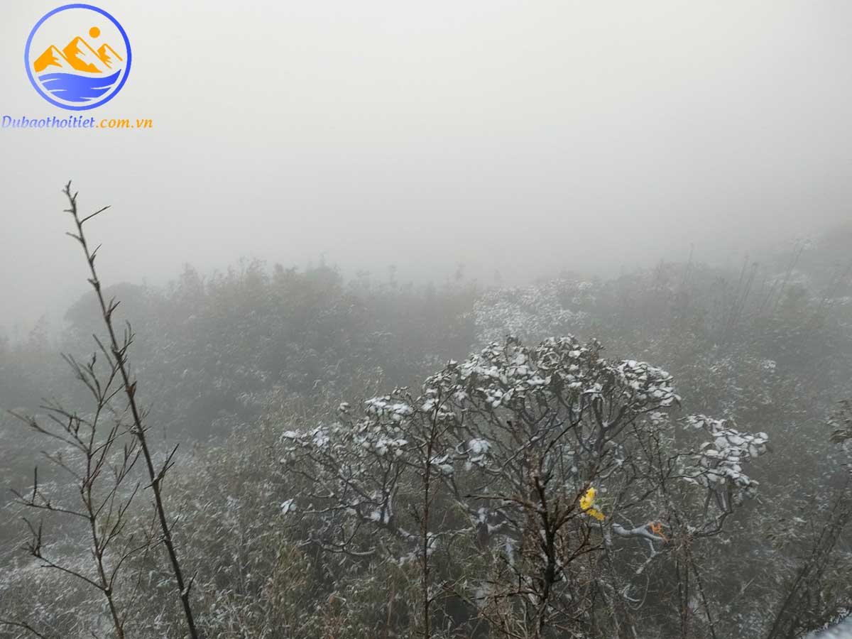 Mưa phùn thường gắn liền với hiện tượng sương mù