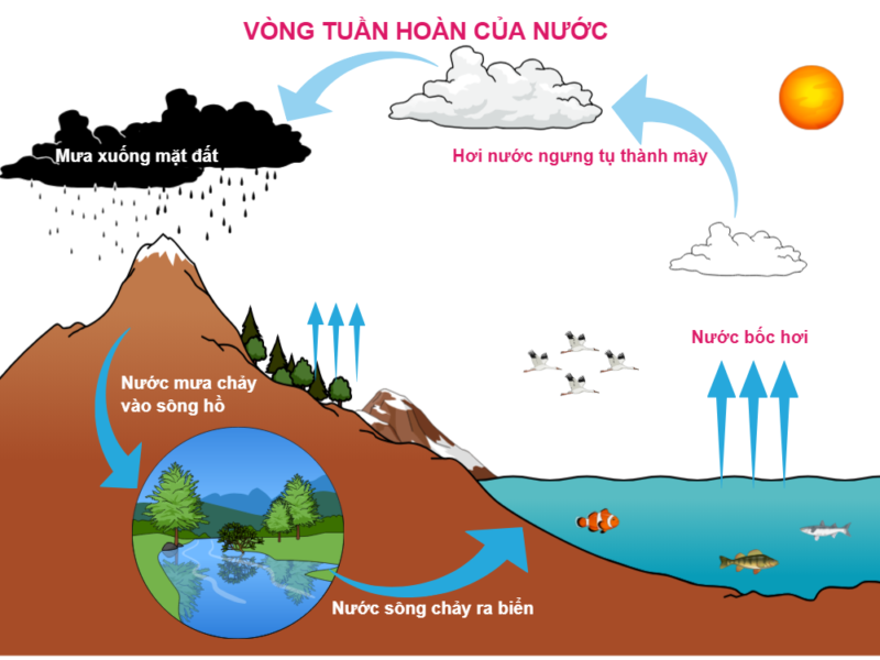 THCS NGUYỄN HUỆ