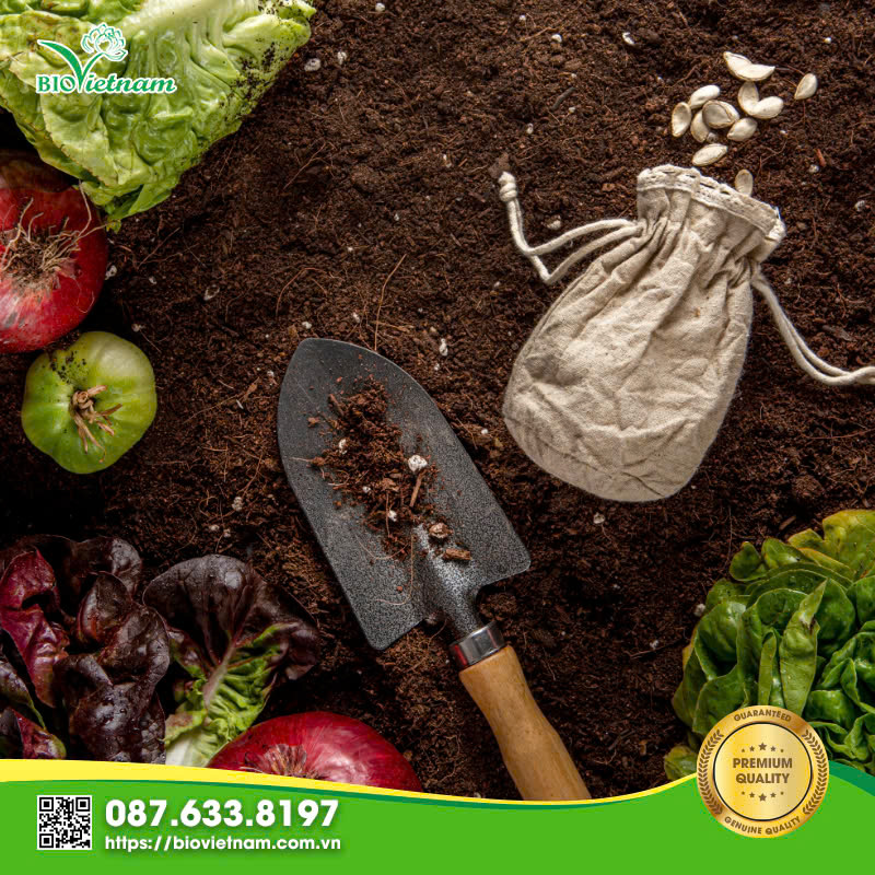 Phân hữu cơ vi sinh là gì? Ưu nhược điểm