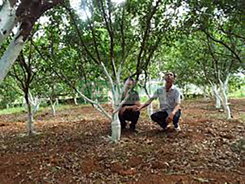 voi-nong-nghiep-phong-tru-sau-benh