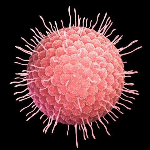 9 bệnh lây qua đường tình dục phổ biến nhất