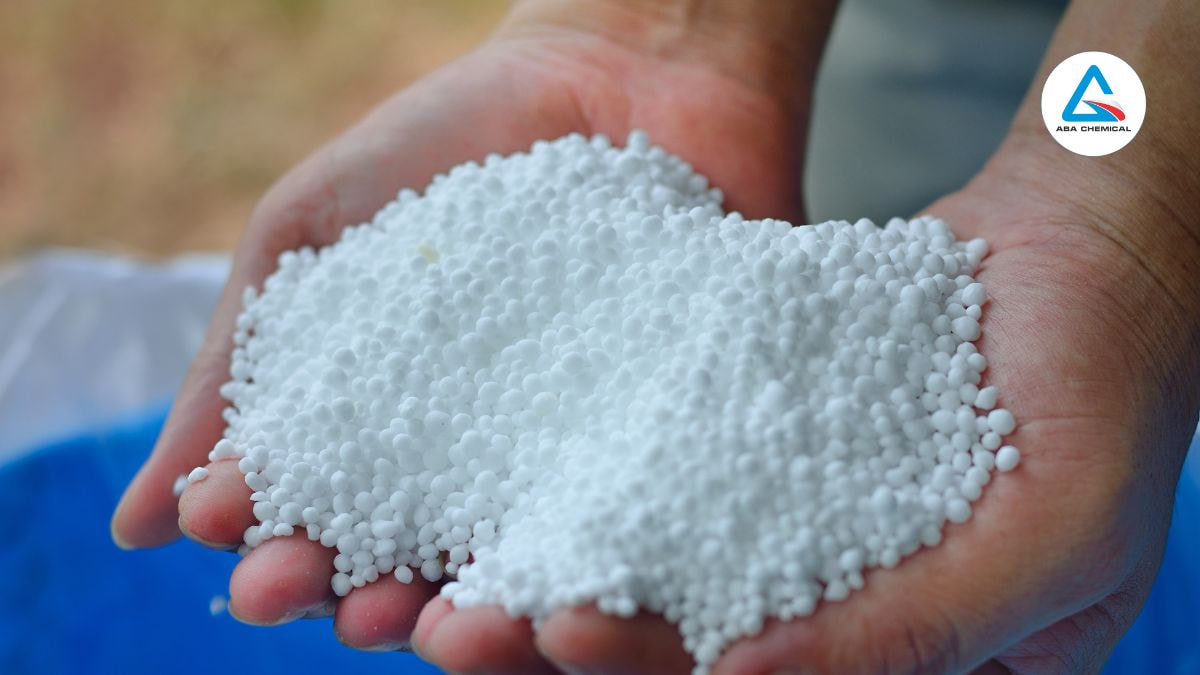 Phân đạm cung cấp nguyên tố Nitơ cho cây trồng như thế nào?