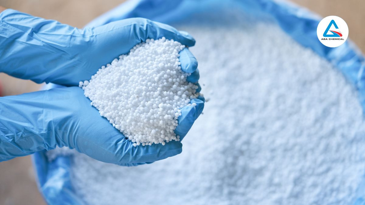 Phân đạm cung cấp nguyên tố Nitơ cho cây trồng như thế nào?