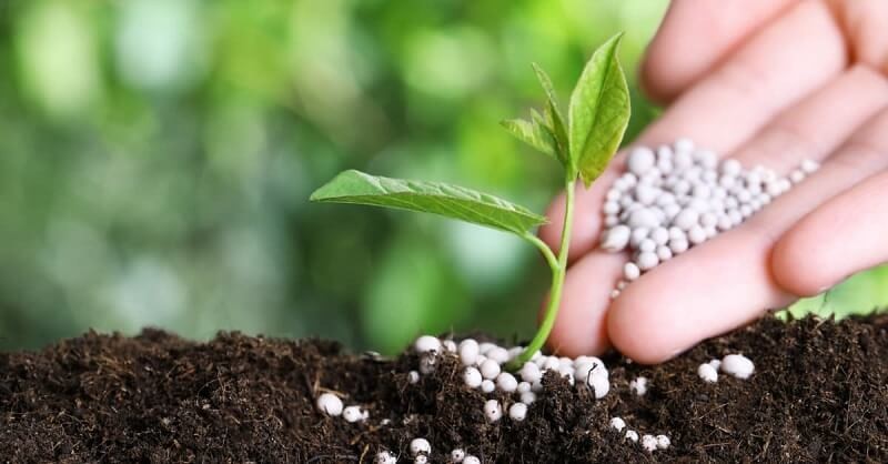 Supephotphat đơn Có Thành Phần Chính Là