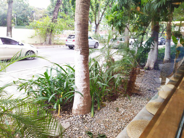 Phe La Ba Dinh Hanoi Review: A Popular Cafe to Chill and Hang Out