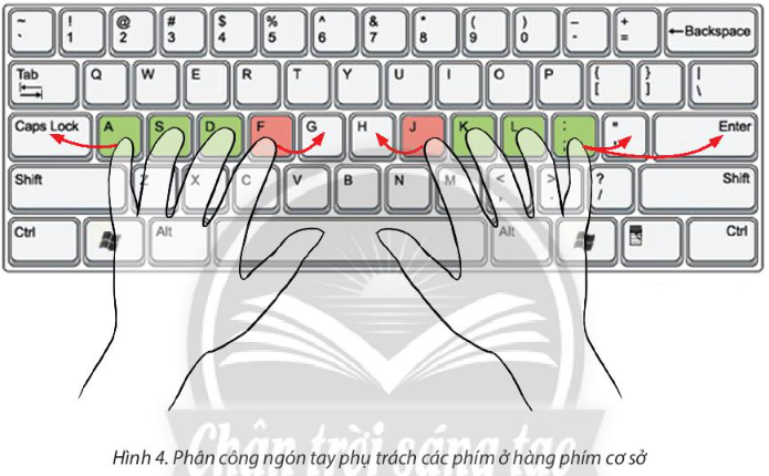 Sách giáo khoa tin học 3 - chân trời sáng tạo - Bài 5. Tập gõ bàn phím