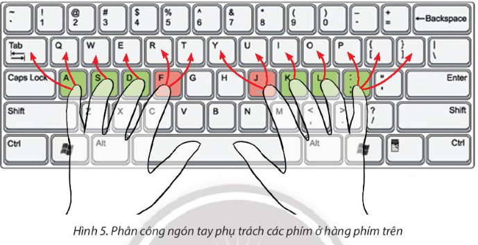 Sách giáo khoa tin học 3 - chân trời sáng tạo - Bài 5. Tập gõ bàn phím