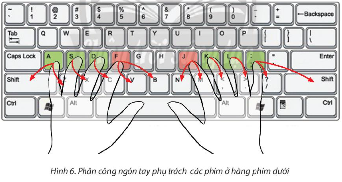 Sách giáo khoa tin học 3 - chân trời sáng tạo - Bài 5. Tập gõ bàn phím