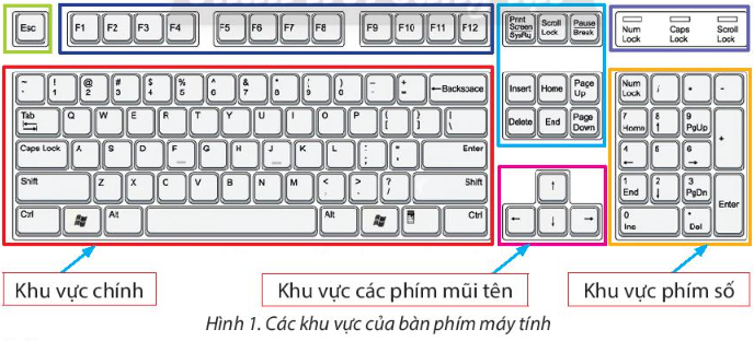 Sách giáo khoa tin học 3 - chân trời sáng tạo - Bài 5. Tập gõ bàn phím