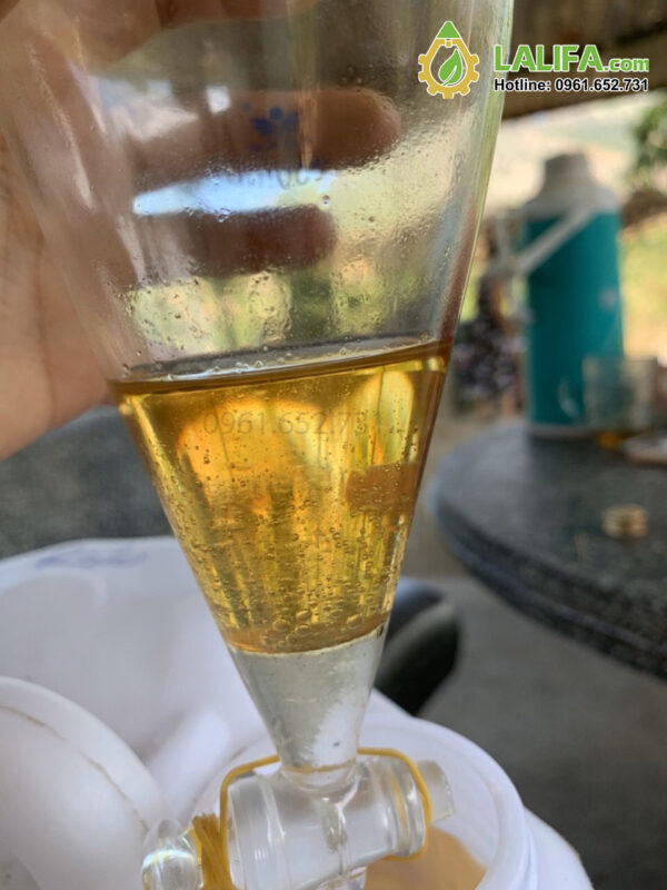 phễu chiết tinh dầu lalifa