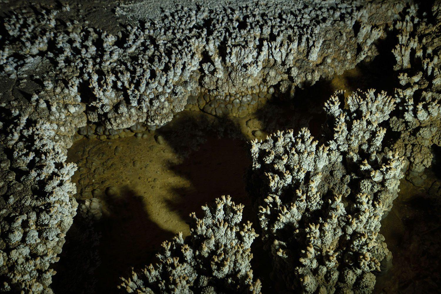 Dạng thạch nhũ popcorn hình trong trong hang Sơng - Tú Làn