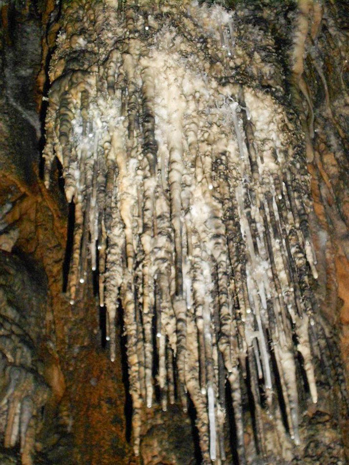 Soda Straw là loại thạch nhũ cực kỳ mong manh và dễ bị vỡ.