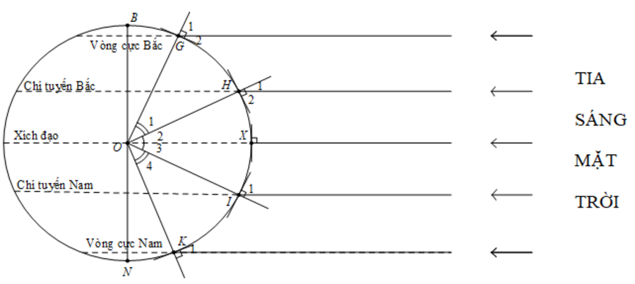 Quy luật địa đới có biểu hiện nào dưới đây? Sự khác nhau giữa quy luật địa đới và quy luật đai cao