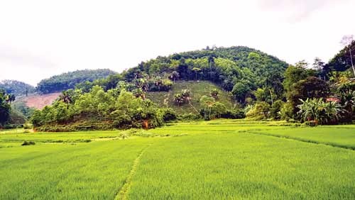 Vẻ đẹp nguyên mẫu trong 4 câu thơ