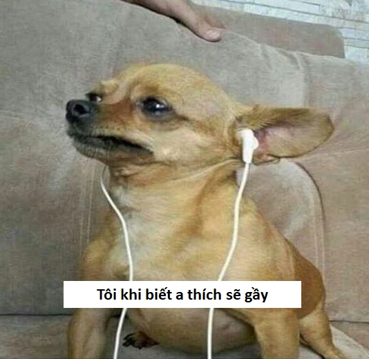 chế meme sẽ gầy