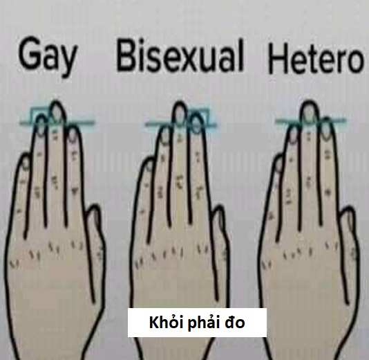 chế meme sẽ gầy hài