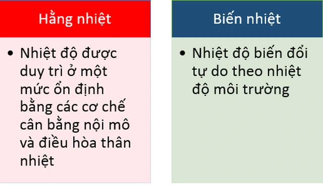 Điều gì sẽ xảy ra nếu con người là... "động vật máu lạnh"?
