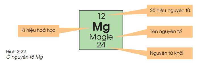 Củng cố kiến thức