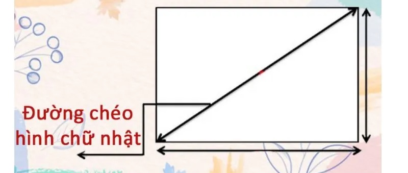 Đặc điểm đường chéo hcn. (Ảnh: Sưu tầm internet)
