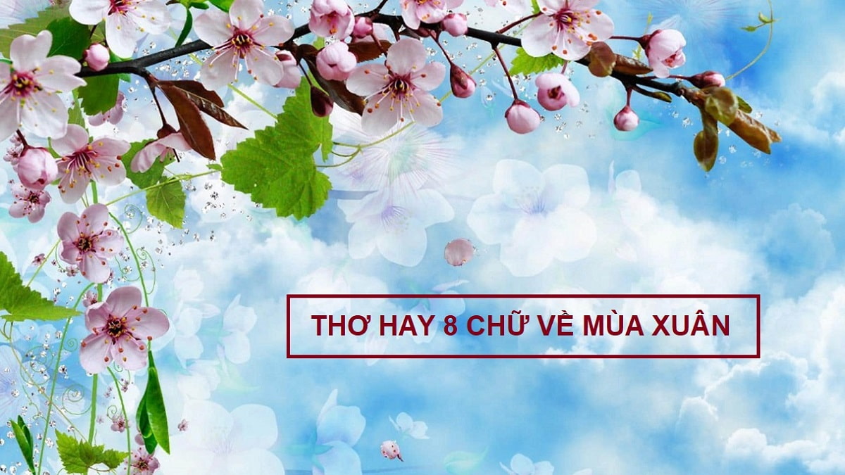 Những bài thơ 8 chữ hay về mùa xuân