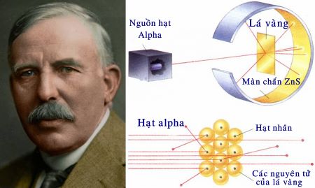 Ernest Rutherford đã phát hiện ra tia alpha