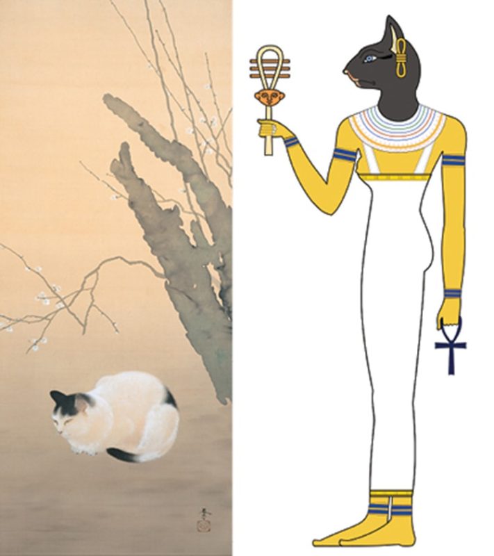 Mèo đẹp, mèo xấu