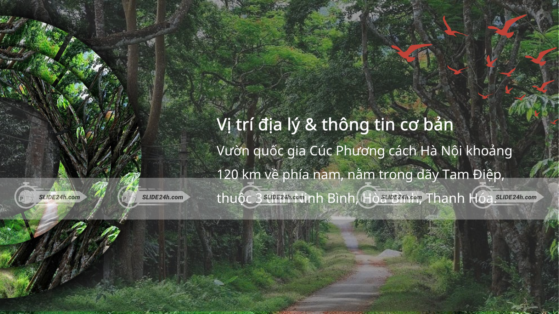 Vị trí địa lý của vườn Quốc gia Cúc Phương