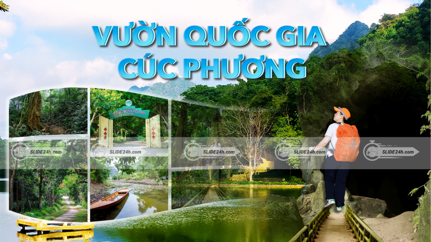Slide Vườn Quốc Gia Cúc Phương - Khu Rừng Nhiệt Đới Cổ Xưa Nhất Việt Nam