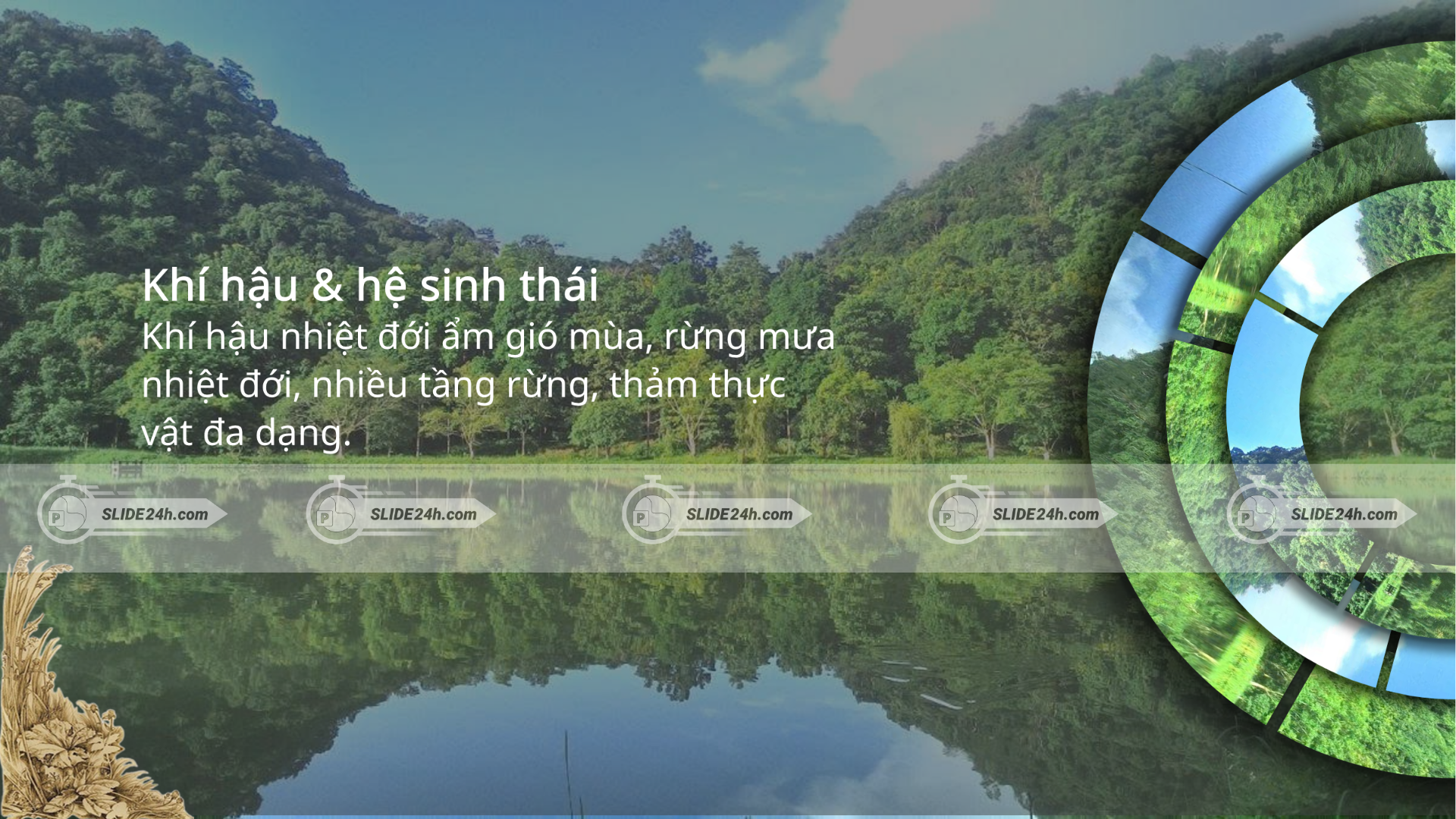 Khí hậu và hệ sinh thái tại Cúc Phương