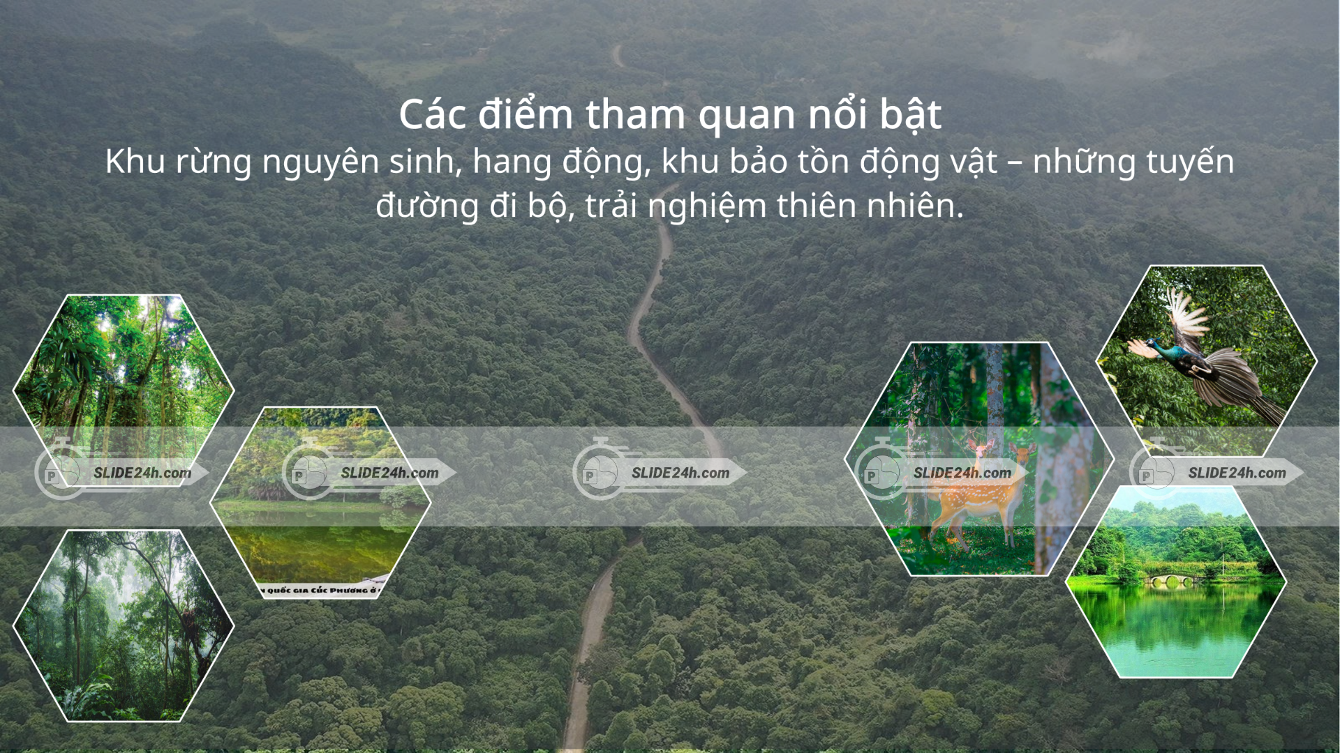 hoạt động & địa điểm tham quan tại Cúc Phương