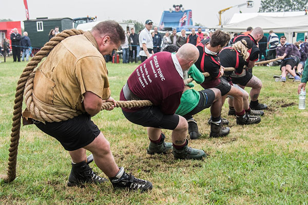 Sắp xếp đội hình kéo co