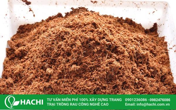 Xơ dừa - Loại giá thể thân thiện với môi trường