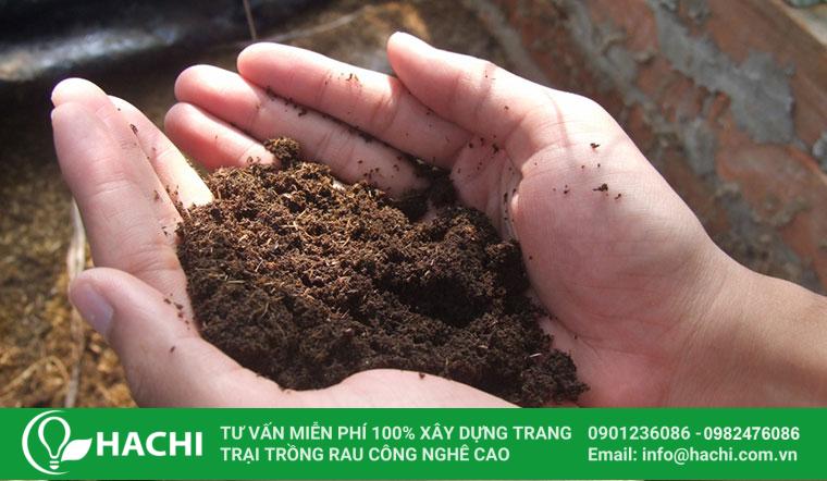 Phân trộn chứa nhiều chất dinh dưỡng tốt cho sự phát triển của cây trồng