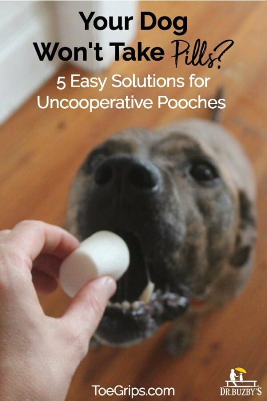 Your Dog Won’t Take Pills? 5 Easy Solutions for Uncooperative Pooches